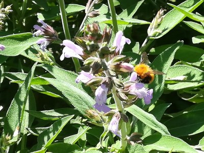 Holiday house Fattoria Aione - Outdoor photo 17