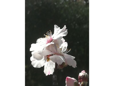 Holiday house Fattoria Aione - Outdoor photo 18