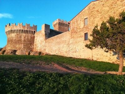 Holiday house Fattoria Aione - Environment photo 37