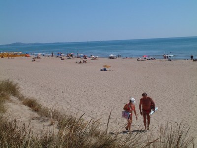 Holiday house Maison de la Paix - Environment photo 31