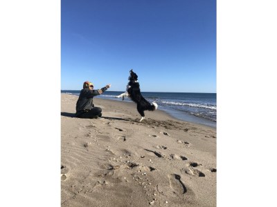 Holiday house Maison de la Paix - Environment photo 36