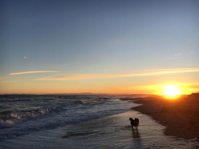 Holiday house Maison de la Paix - Environment photo 37