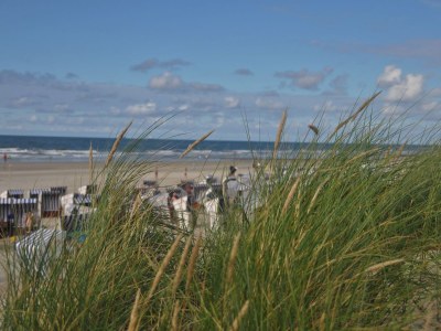 Holiday apartment Heyens21 - Environment photo 16