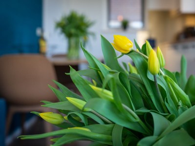 Apartment CasaMare2 - Features photo 18