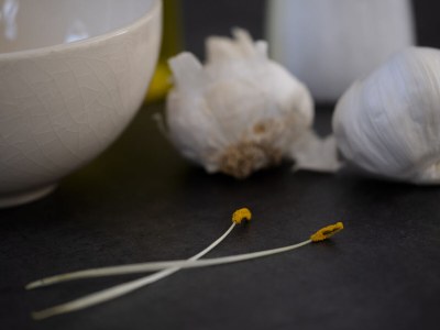 Apartment Summerhaus Zer - Features photo 17