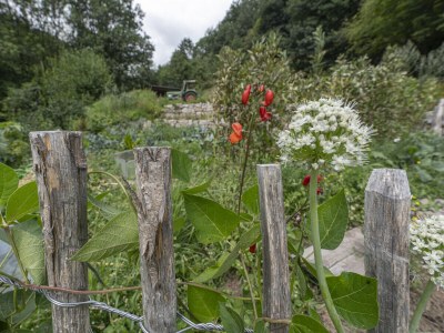 Holiday house Speicherhäusle - Outdoor photo 8