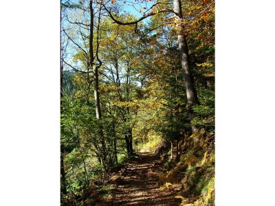 Holiday house Speicherhäusle - Environment photo 22