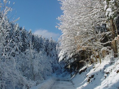 Holiday house Speicherhäusle - Environment photo 23