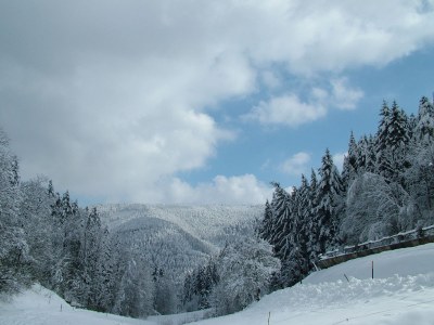 Holiday house Speicherhäusle - Environment photo 24