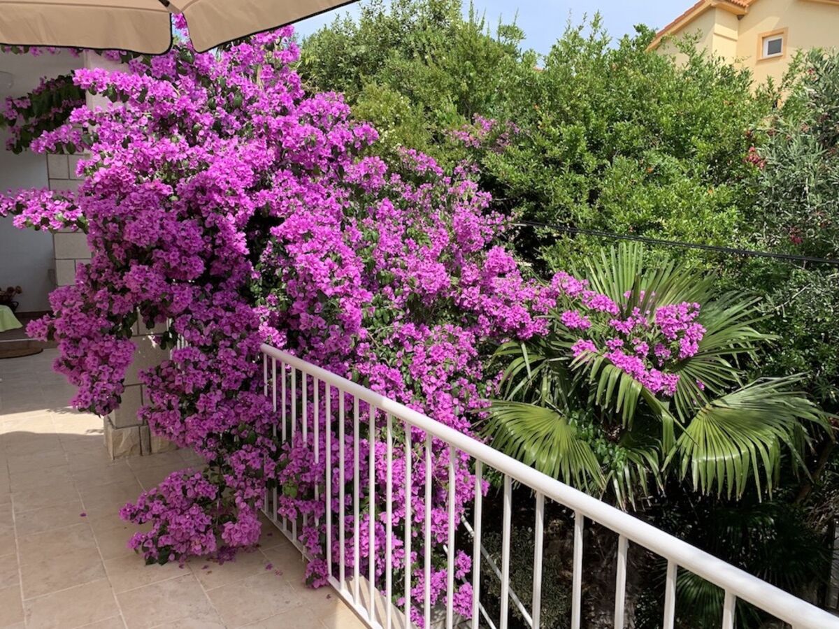 Apartment Martina - Outdoor photo 5