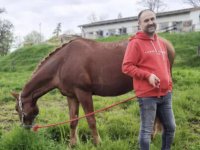 Christian Schedlbauer