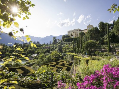 Holiday apartment Freiblick - Environment photo 17