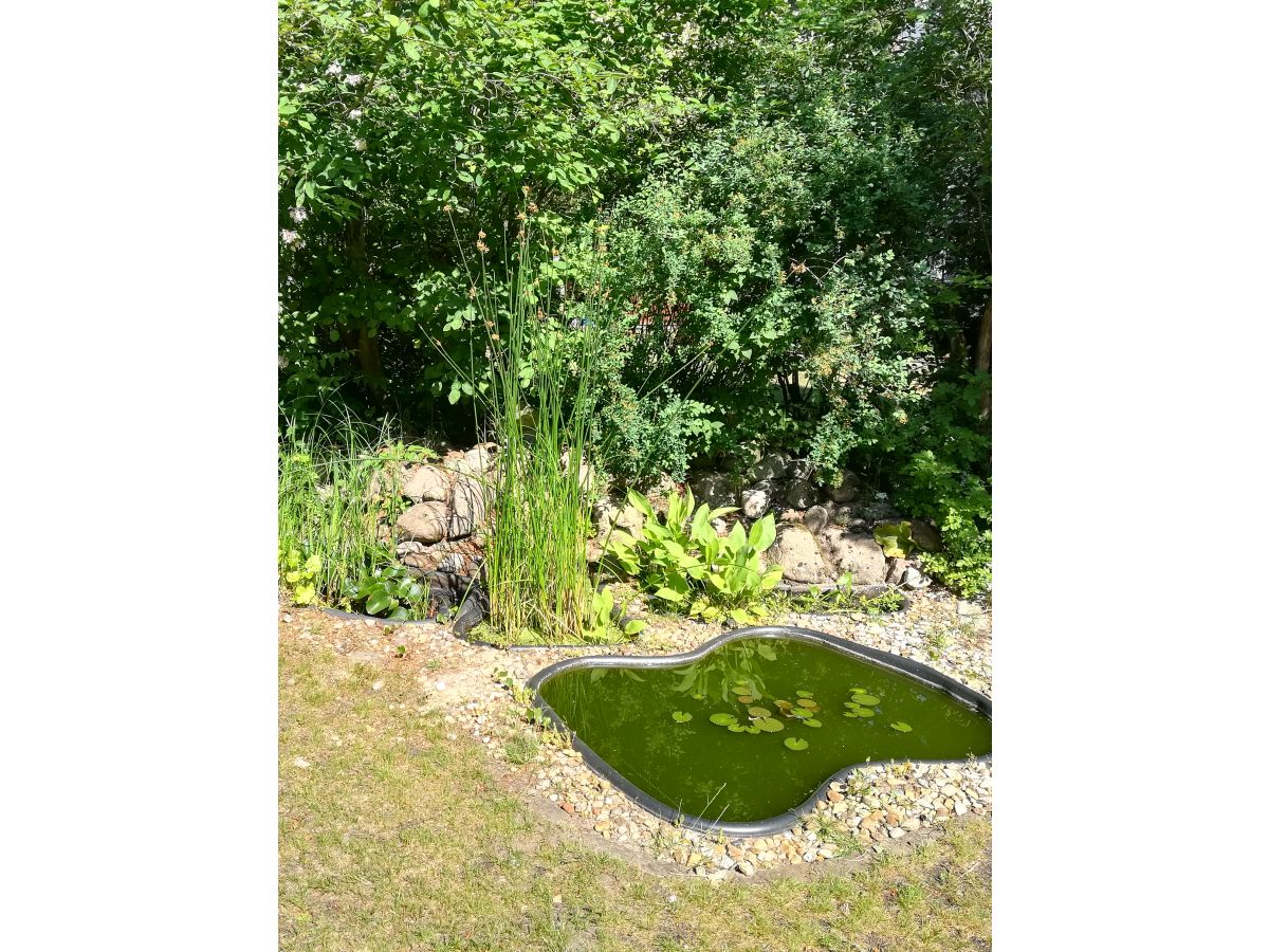 Holiday house „DIE ELF“ - Outdoor photo 3