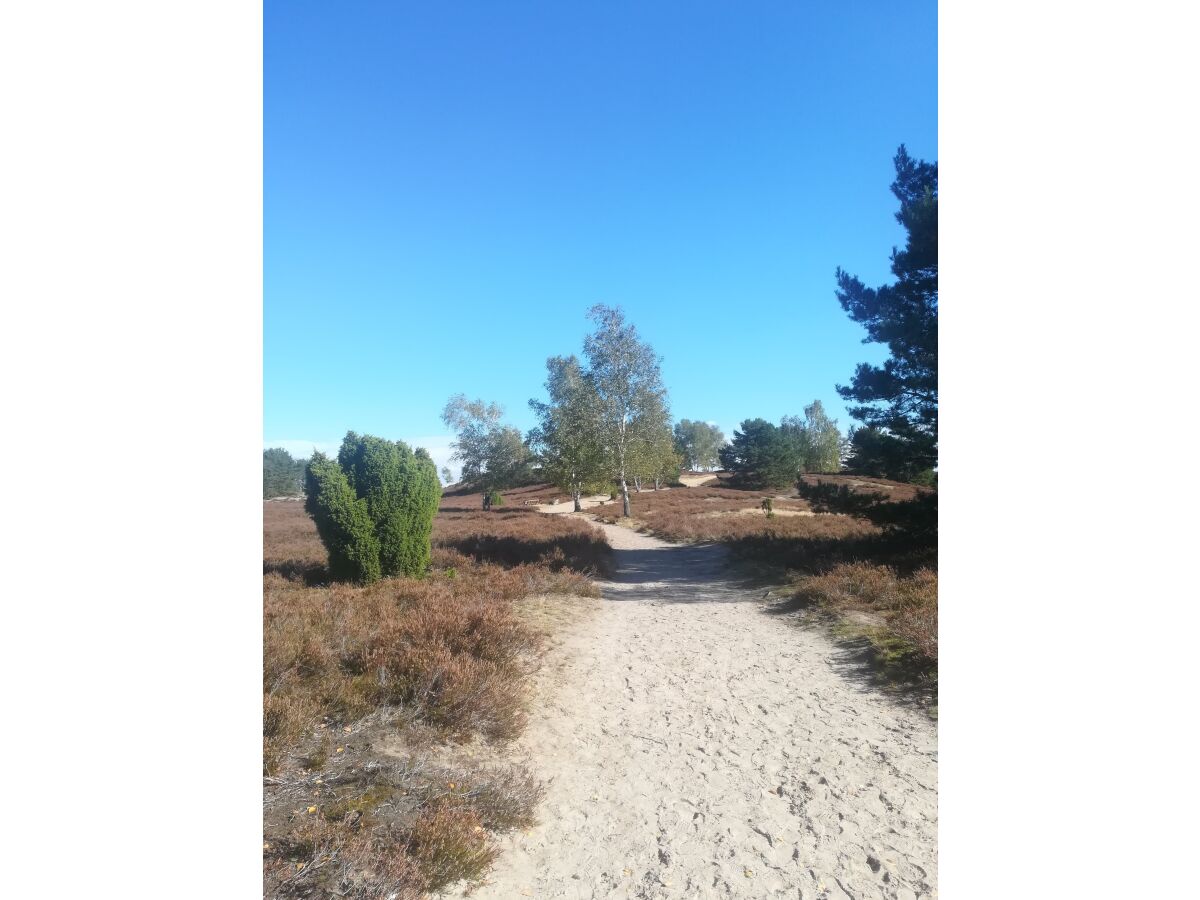 Holiday house „DIE ELF“ - Outdoor photo 5