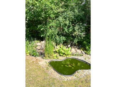 Holiday house „DIE ELF“ - Outdoor photo 3