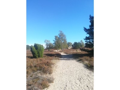 Holiday house „DIE ELF“ - Outdoor photo 5