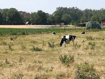 Holiday house „DIE ELF“ - Outdoor photo 9