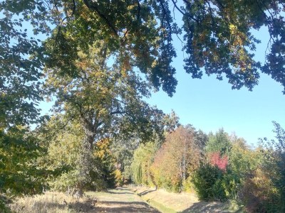 Holiday house „DIE ELF“ - Environment photo 31