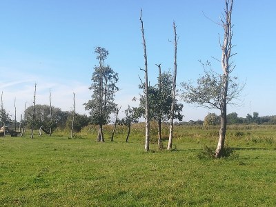 Holiday house „DIE ELF“ - Environment photo 34