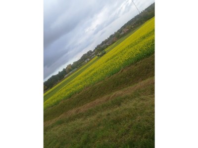 Holiday house „DIE ELF“ - Environment photo 35