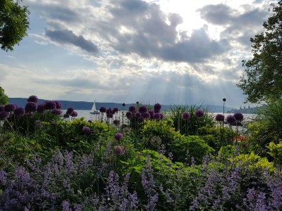 Holiday apartment - No title - - Environment photo 17