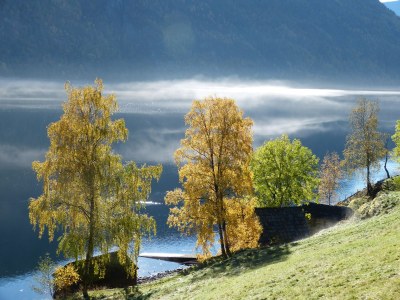 Holiday house Sjohageløo - Environment photo 8