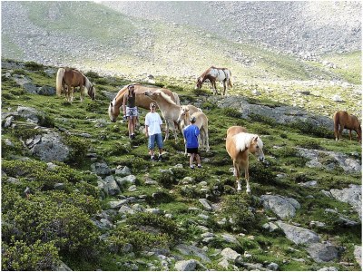 Holiday apartment Pear - Environment photo 17