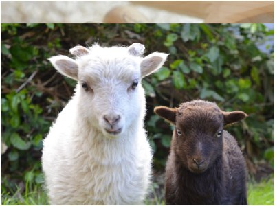 Holiday apartment Pear - Environment photo 18