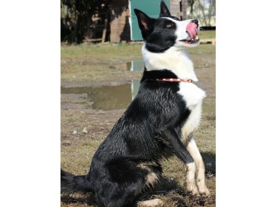 Holiday apartment Pear - Environment photo 21
