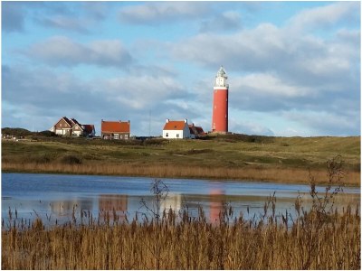 Holiday house Beautiful Texel - Environment photo 17