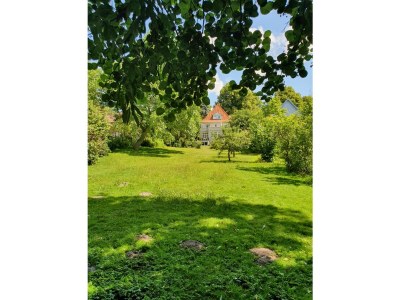 Holiday apartment Denkmal Wakenitz-Villa Anno 1922! - Outdoor photo 10