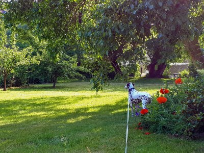 Holiday apartment Denkmal Wakenitz-Villa Anno 1922! - Environment photo 40