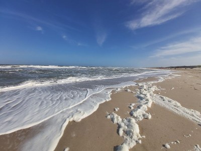 Holiday apartment Posthumus - Outdoor photo 7