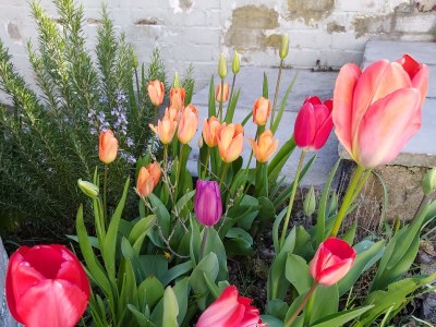 Holiday apartment Posthumus - Outdoor photo 8