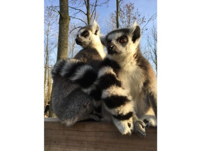 Holiday apartment Posthumus - Environment photo 32