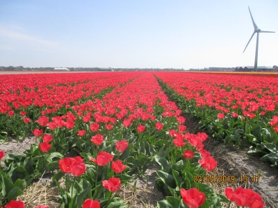 Holiday apartment Posthumus - Environment photo 34