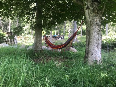 Holiday house Schluchseehuus - Outdoor photo 6