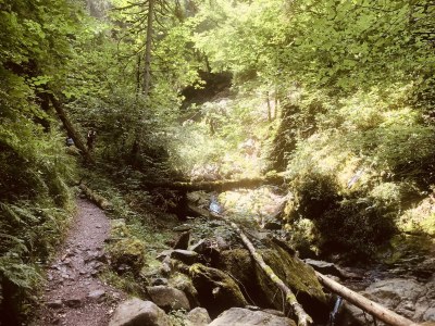 Holiday house Schluchseehuus - Environment photo 20