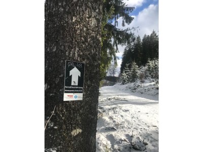 Holiday house Schluchseehuus - Environment photo 23