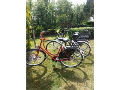 Holiday house Villa Strandkorb - Outdoor photo 7