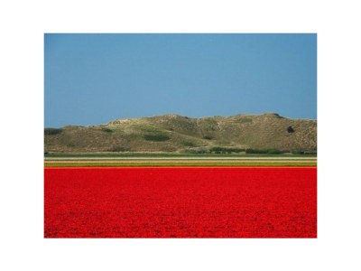 Holiday house Villa Strandkorb - Environment photo 30