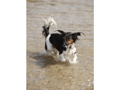 Holiday house Villa Strandkorb - Environment photo 31