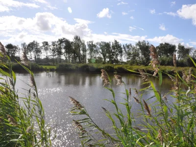 Holiday house Sandepark 154 - Environment photo 11