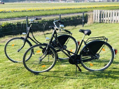 Villa Sandkorn - Outdoor photo 6