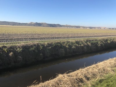 Villa Sandkorn - Outdoor photo 8