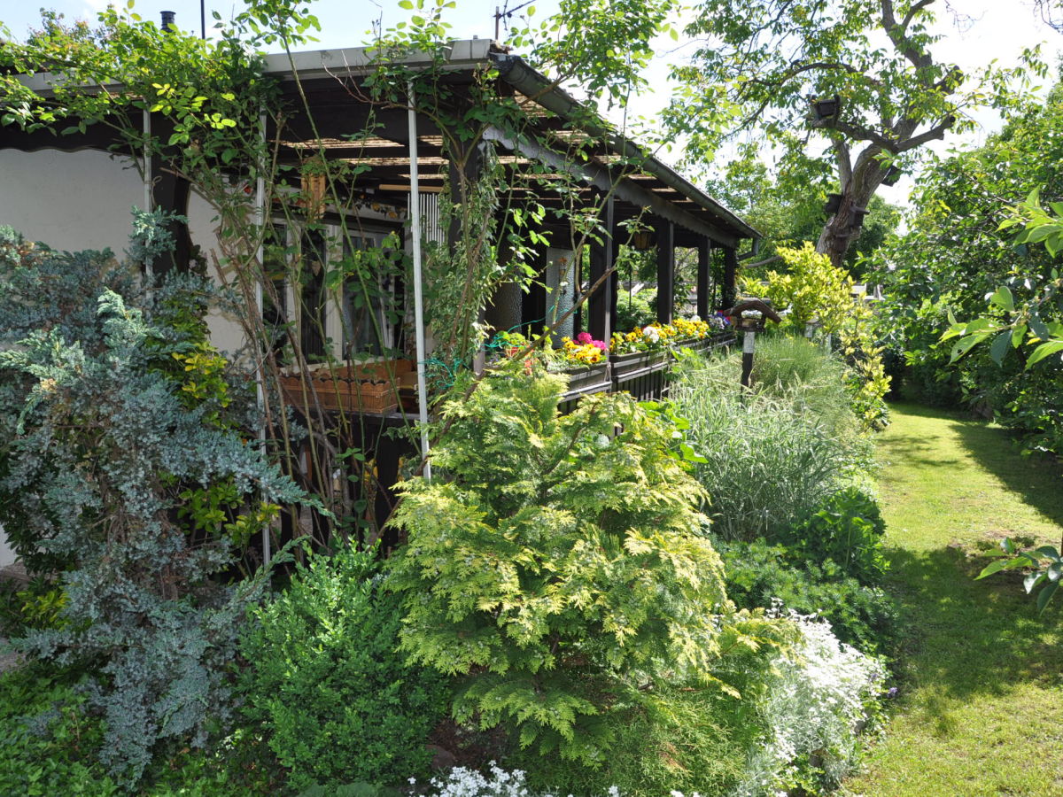 Holiday house with big garden - Outdoor photo 4