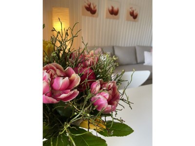 Holiday house with big garden - Features photo 15