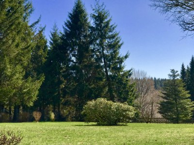 Holiday apartment "Schöne Bergsicht" - Features photo 17