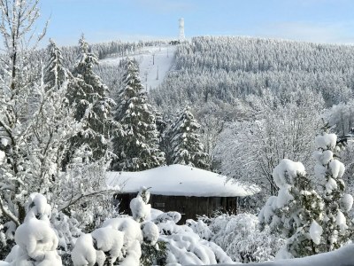 Holiday apartment "Schöne Bergsicht" - Features photo 18