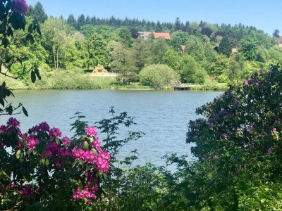 Holiday apartment "Schöne Bergsicht" - Environment photo 28